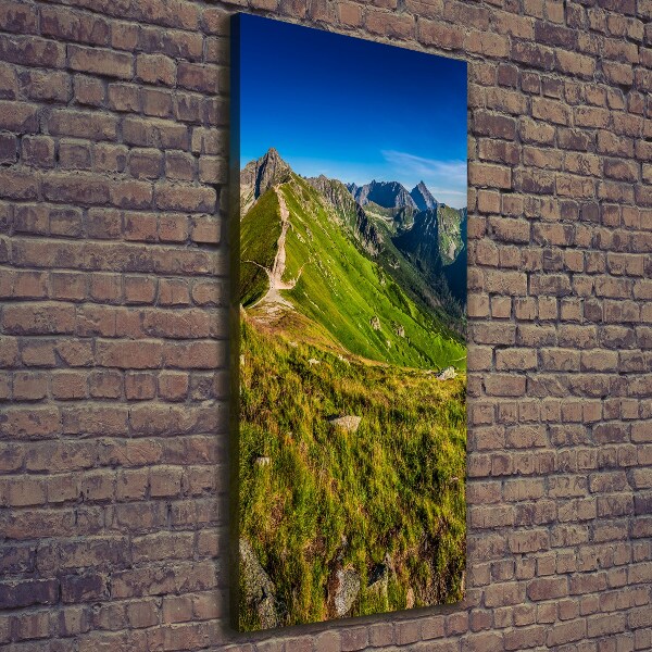 Canvas wall art Tatra Mountains