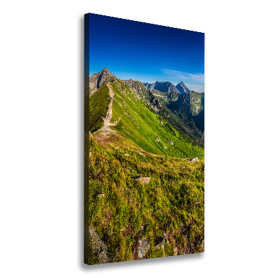 Canvas wall art Tatra Mountains