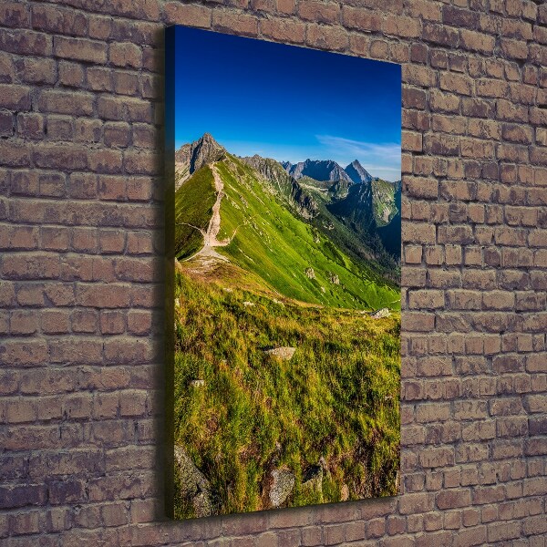 Canvas wall art Tatra Mountains