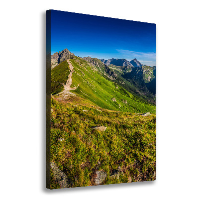 Canvas wall art Tatra Mountains