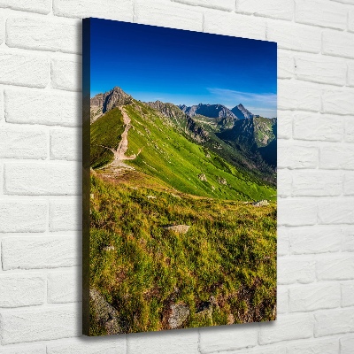 Canvas wall art Tatra Mountains