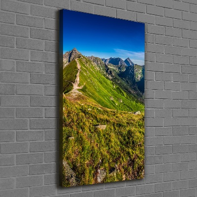 Canvas wall art Tatra Mountains