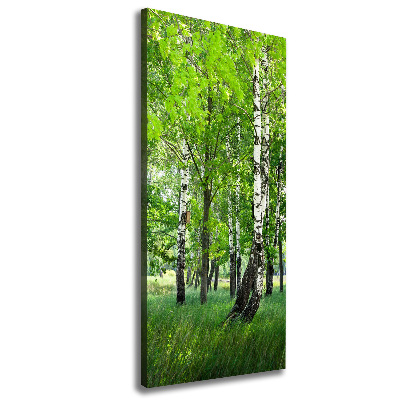 Canvas wall art Birch forest