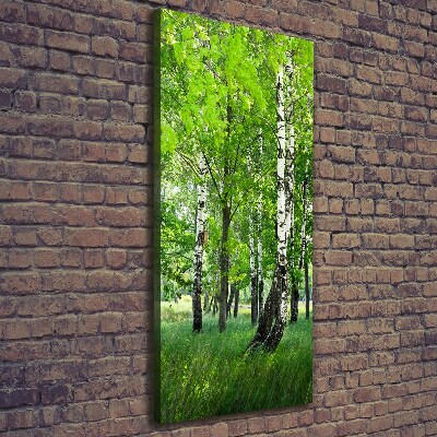 Canvas wall art Birch forest