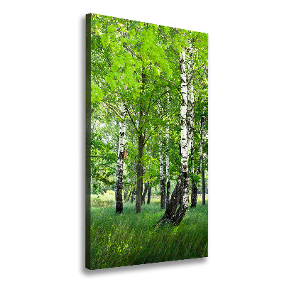 Canvas wall art Birch forest