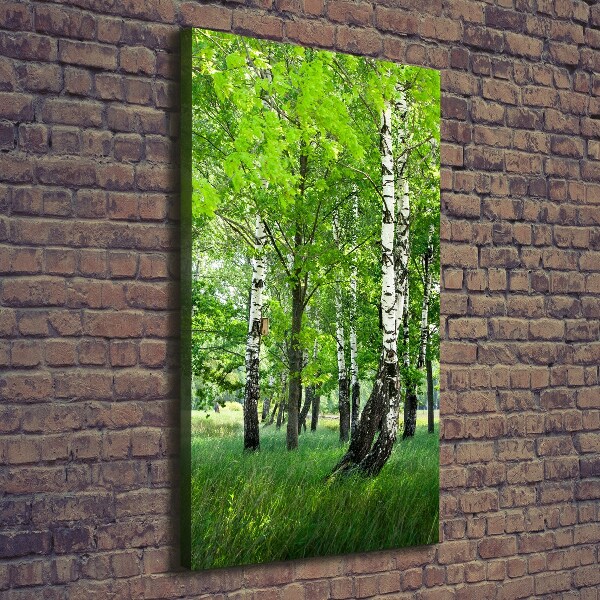 Canvas wall art Birch forest