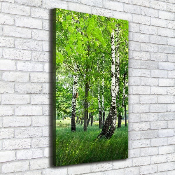 Canvas wall art Birch forest