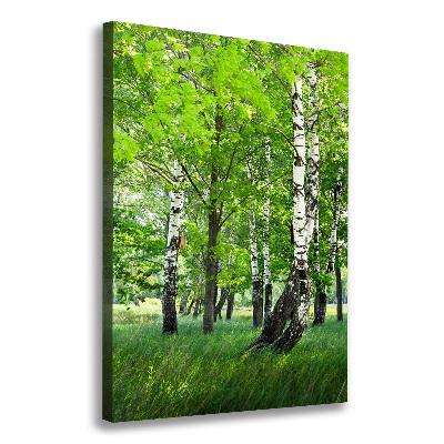 Canvas wall art Birch forest