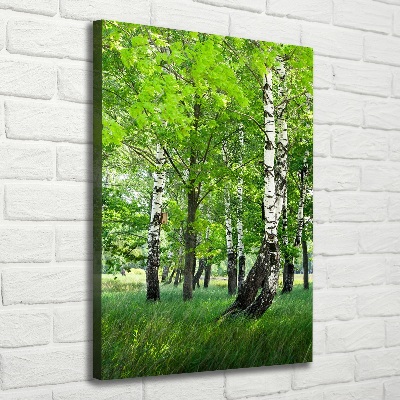 Canvas wall art Birch forest