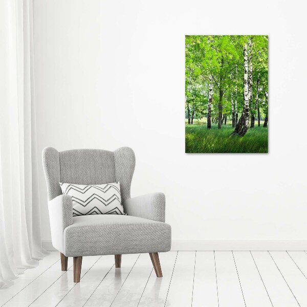 Canvas wall art Birch forest