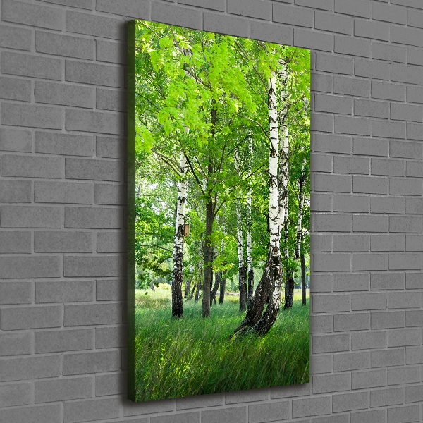 Canvas wall art Birch forest