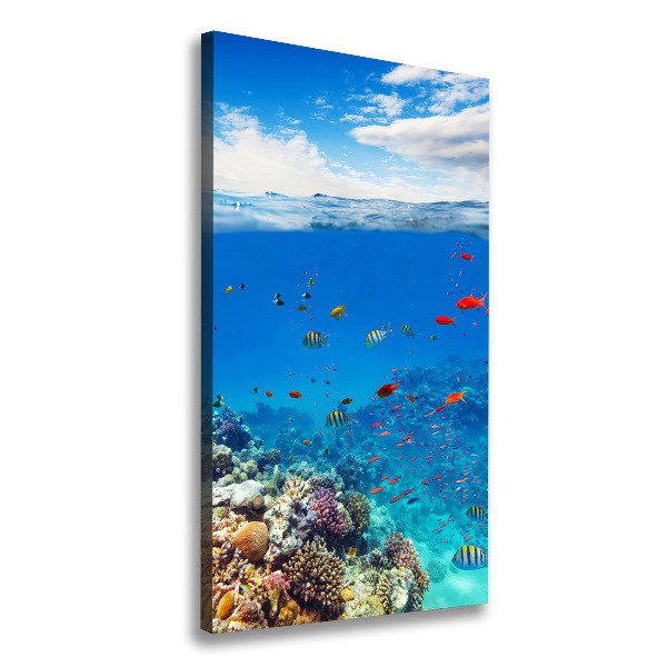 Canvas wall art Coral reef