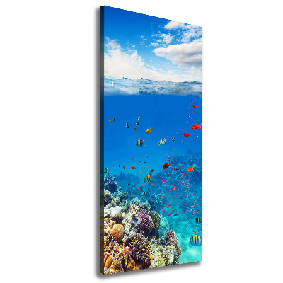 Canvas wall art Coral reef