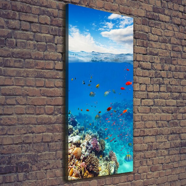 Canvas wall art Coral reef