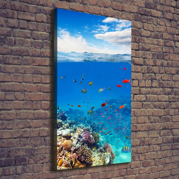 Canvas wall art Coral reef