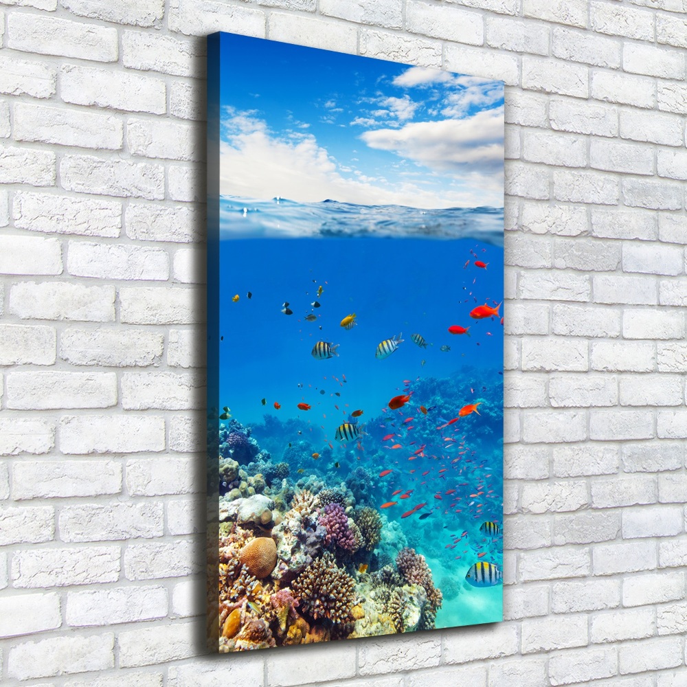 Canvas wall art Coral reef