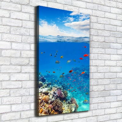 Canvas wall art Coral reef