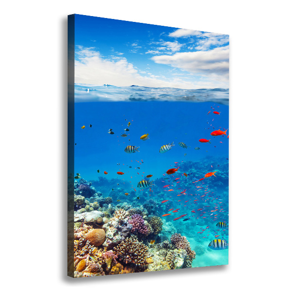 Canvas wall art Coral reef