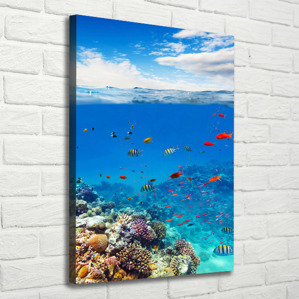 Canvas wall art Coral reef