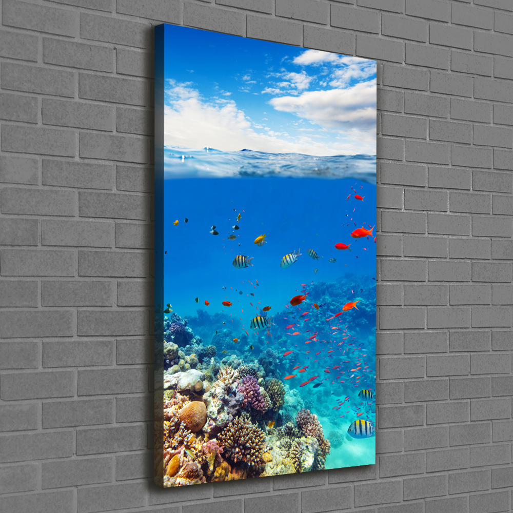 Canvas wall art Coral reef