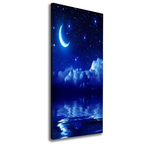 Canvas print Sky at night