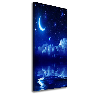 Canvas print Sky at night