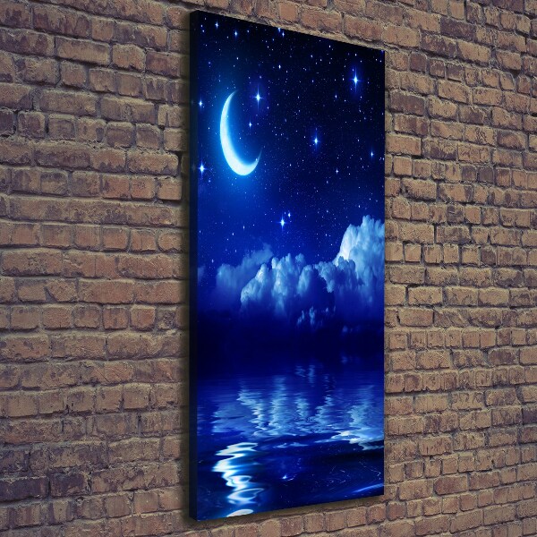 Canvas print Sky at night