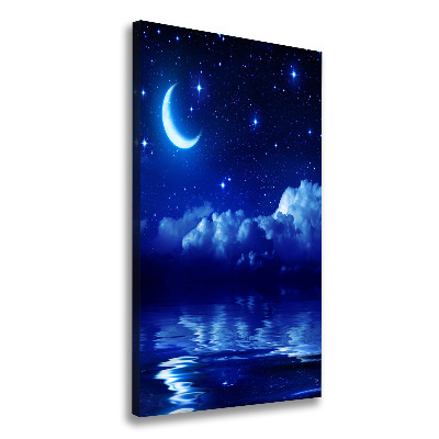 Canvas print Sky at night