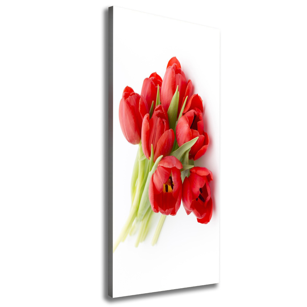 Canvas wall art Red tulips