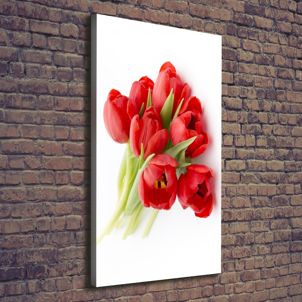 Canvas wall art Red tulips