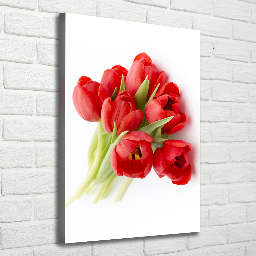 Canvas wall art Red tulips