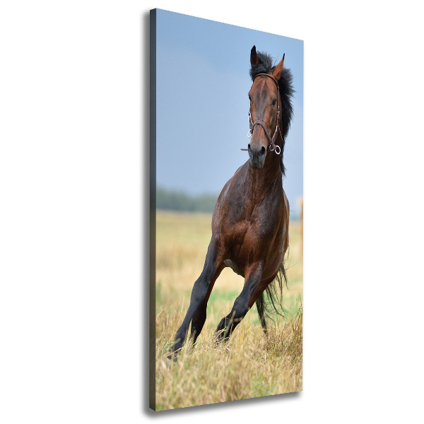 Wall art canvas Horse