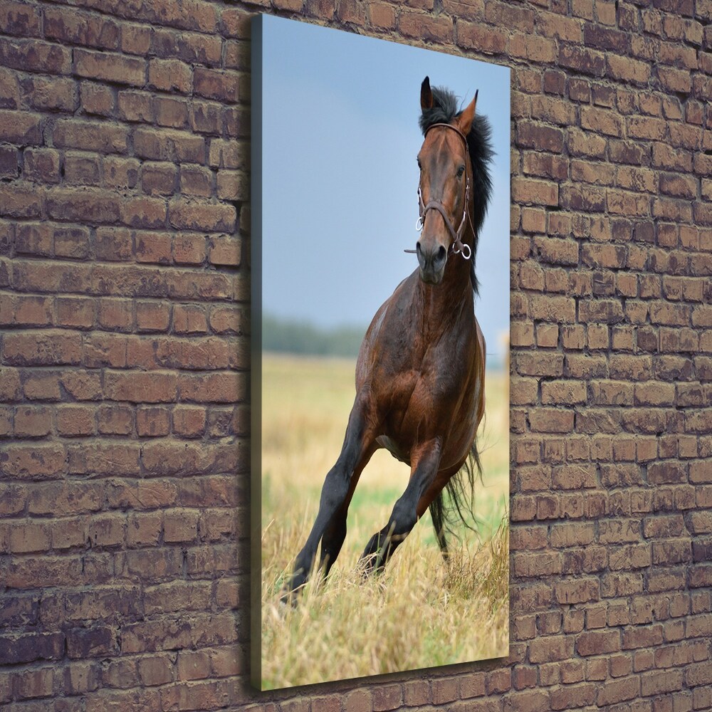 Wall art canvas Horse