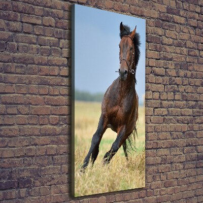 Wall art canvas Horse