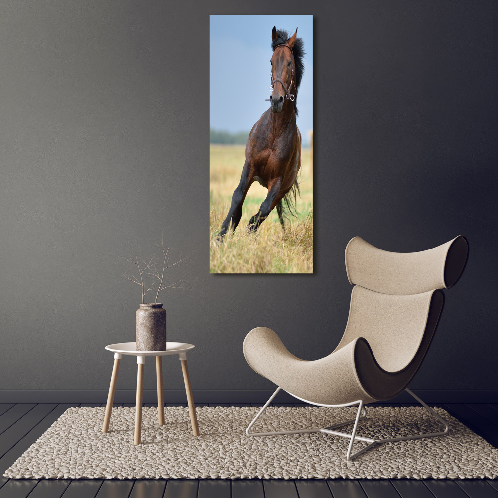 Wall art canvas Horse