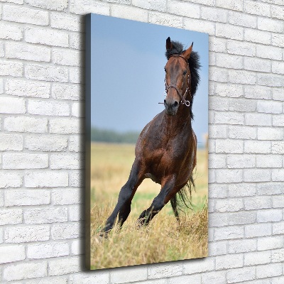 Wall art canvas Horse