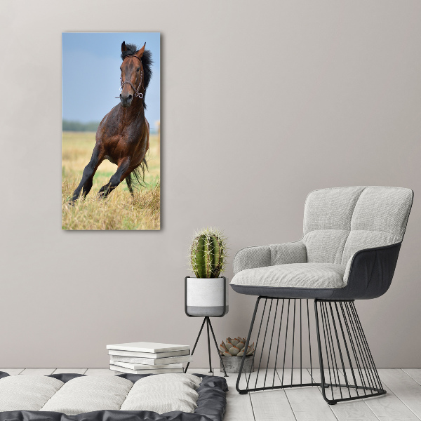 Wall art canvas Horse