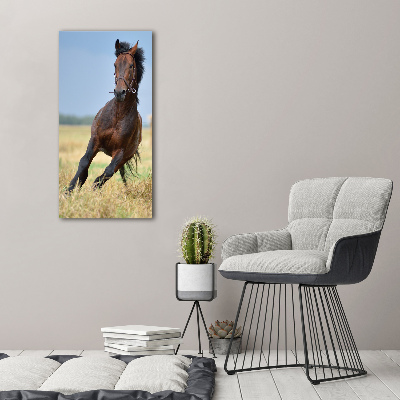 Wall art canvas Horse