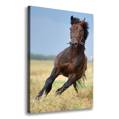 Wall art canvas Horse