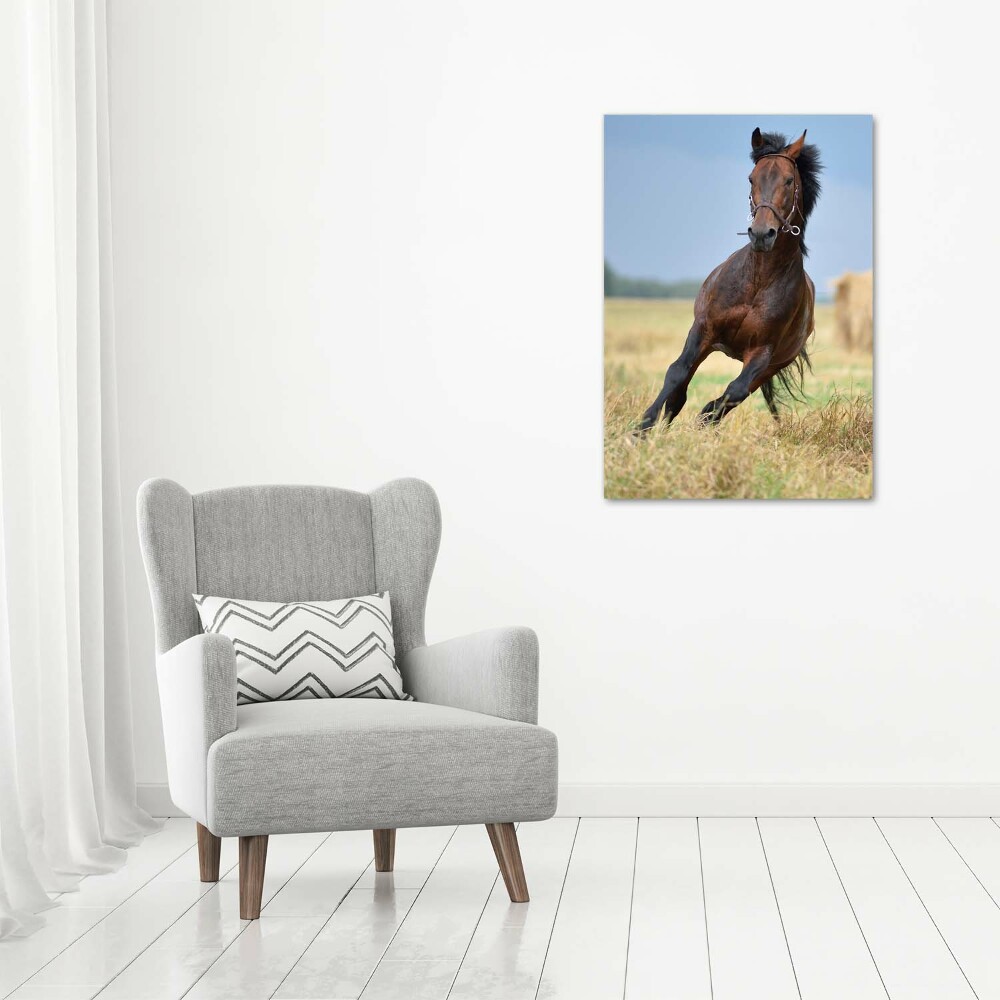 Wall art canvas Horse