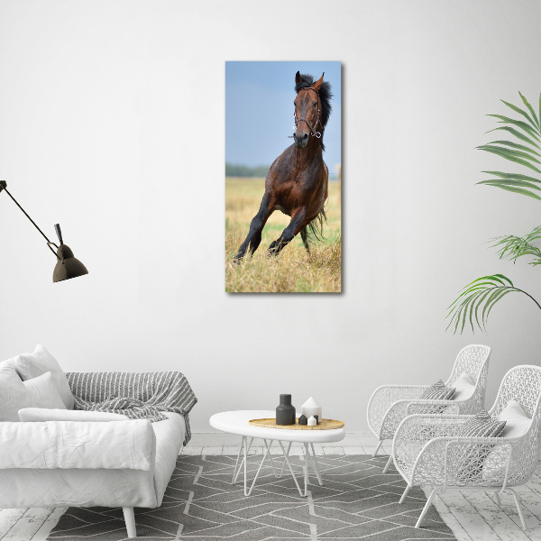 Wall art canvas Horse