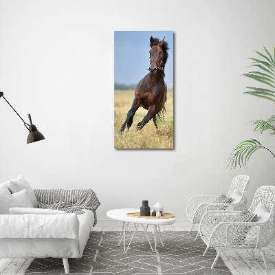 Wall art canvas Horse