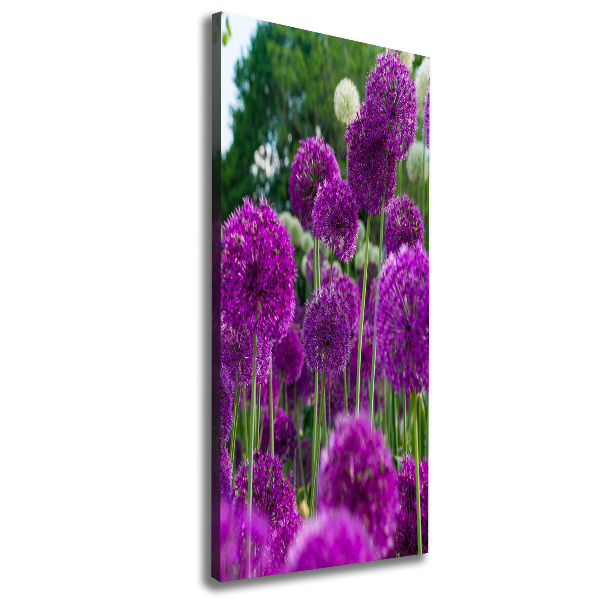 Canvas wall art Garlic flowers