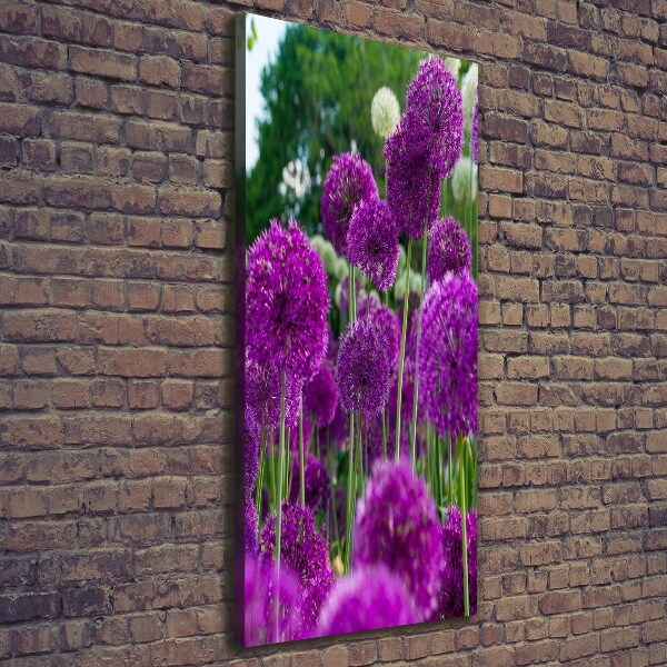 Canvas wall art Garlic flowers