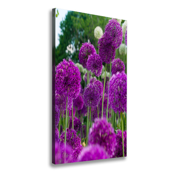 Canvas wall art Garlic flowers