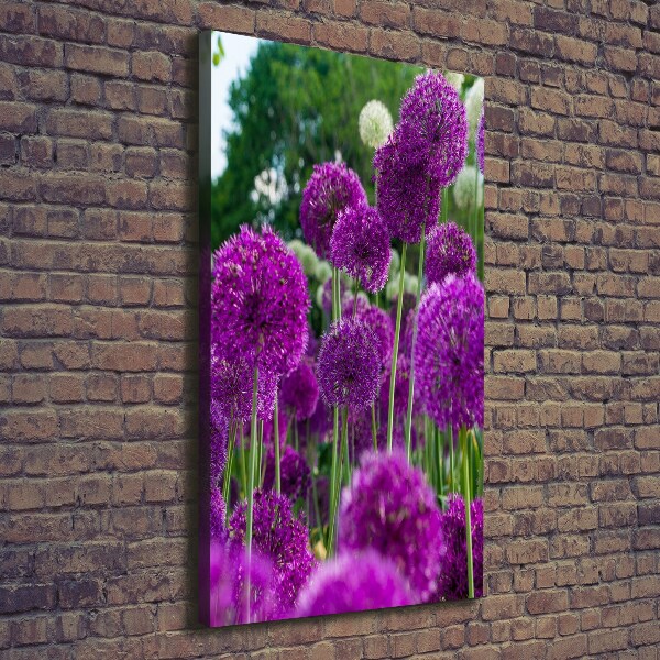 Canvas wall art Garlic flowers