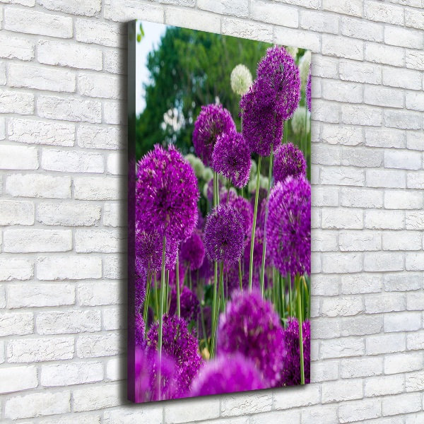 Canvas wall art Garlic flowers