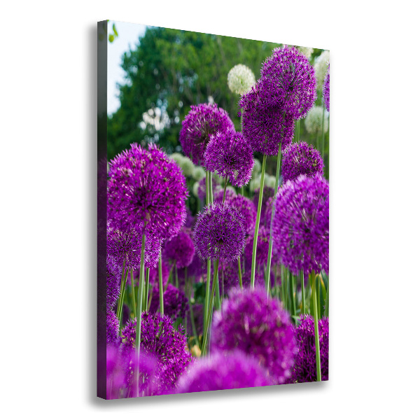 Canvas wall art Garlic flowers