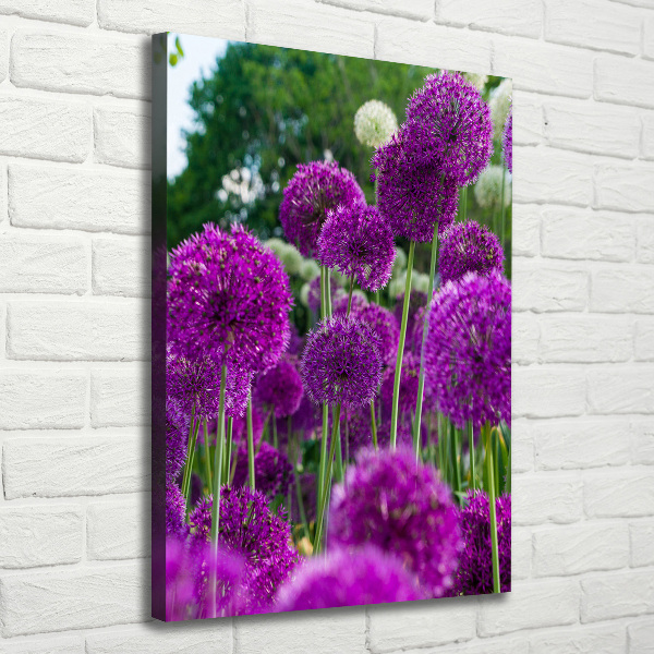 Canvas wall art Garlic flowers