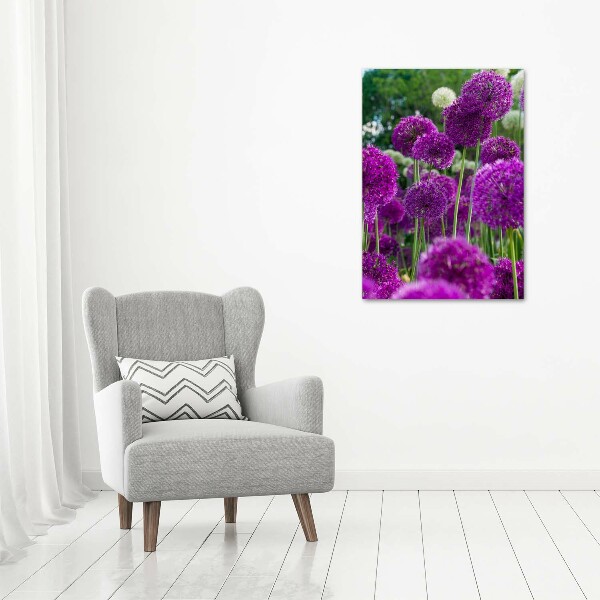 Canvas wall art Garlic flowers